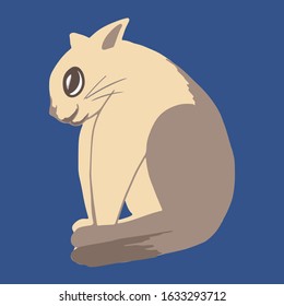 Hand drawn flat cute cat character. Colorful Kitten with bright emotion and poses.Doodle vector illustration for childish decoration clothes, patterns, stickers, cards, fabric, textile, wallpaper,pack