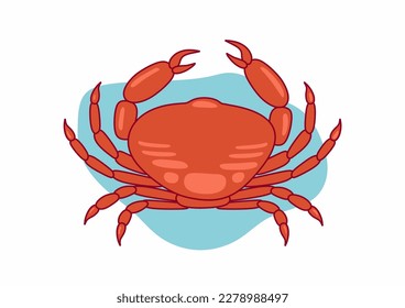 Hand drawn flat design crawfish illustration. Cancer animal Isolated on white background.
