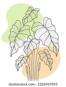 Hand Drawn Flat Design Simple Flower and Tropical Plant Outline