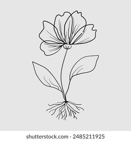 Hand drawn flat design simple flower outline