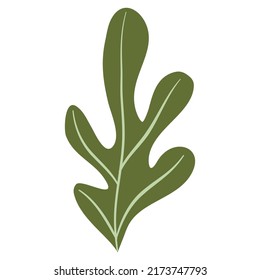 Hand Drawn Flat Doodle Leaf. Nature Green Leaf Design Element. Vector illustration
