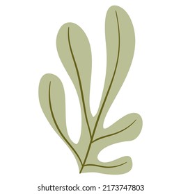 Hand Drawn Flat Doodle Leaf. Nature Green Leaf Design Element. Vector illustration