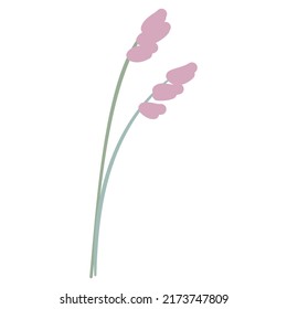 Hand Drawn Flat Doodle Leaf. Nature Green Leaf Design Element. Vector illustration