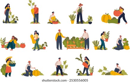 Hand drawn flat fruit harvest mini illustration set