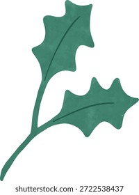 Hand drawn Flat Green Holly Leaf Illustration