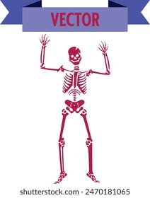 Hand drawn flat halloween skeletons, cute creepy characters with skull and bones, Scary creature with joints