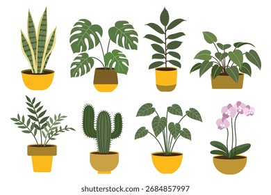 Colección de plantas de interior planas dibujadas a mano. Conveniente para el arte del Clip, pegatinas, ilustración plana del diseño, etc