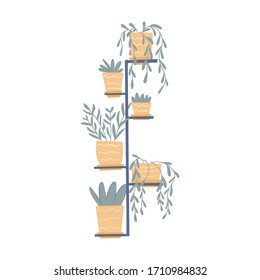 Hand drawn flat illustration of decorative houseplants in pots isolated on white background.