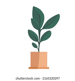 Plantas planas de vectores planas dibujadas a mano en la maceta. Ilustración de plantas aisladas en fondo blanco.