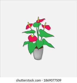 Hand drawn flat vector illustration of Calla plant 