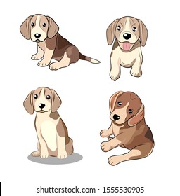 Hand drawn flat vector set of beagle dog in different poses on white background. Illustration vector