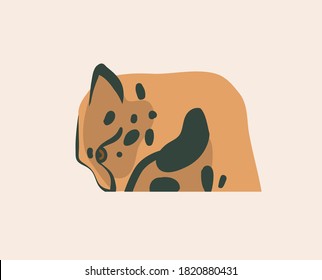Hand drawn flat vector stock abstract graphic illustration with African wild cheetah head cartoon animal logo branding design elements isolated on pastel background