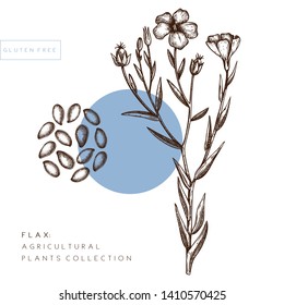 Hand drawn Flax collection.  Agricultural plant drawing with seeds, leaves and flowers. Vegan and healthy food ingredient. Great for packaging, label, icon. Lineart. Vector flax outlines. 