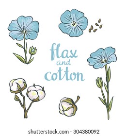 Hand drawn flax and cotton. Vector design isolated on white background