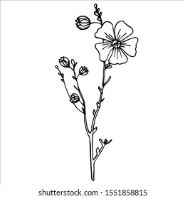 Hand drawn Flax illustration. Vector outlines. Lineart. Simple art. Isolated flower.Agricultural plant drawing.