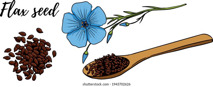 Hand drawn flax seeds vector illustration. Use for cosmetic products or food. Sketch style vector organic food illustration.