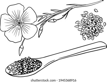 Hand drawn flax seeds vector illustration. Use for cosmetic products or food. Sketch style vector organic food illustration.