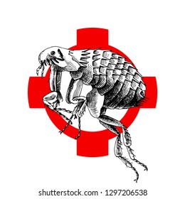 Mano dibujó pulga en la escotilla. Ilustración del vector