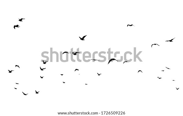 A Hand Drawn Flock of Flying Birds. Monochrome\
Bird Silhouettes. Design for an invitation, greeting, comicbook,\
illustration, card, postcard. Illustration isolated on a white\
background. Vector
