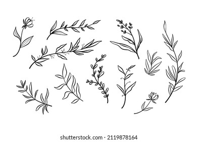 Hand drawn floral abstract with line art style