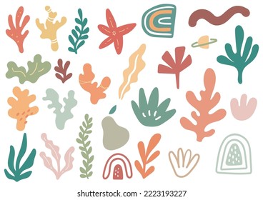 hand drawn floral aesthetic element pastel color