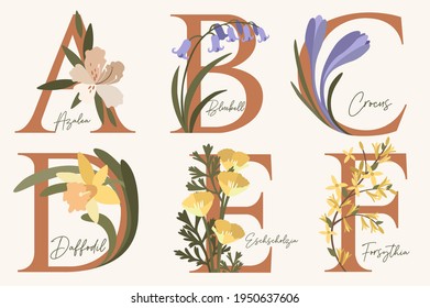 Hand Drawn floral alphabet with spring flowers.Letters A, B, C, D, E, F with flowers azalea, bluebell,crocus,daffodil,forsythia,eschscholzia