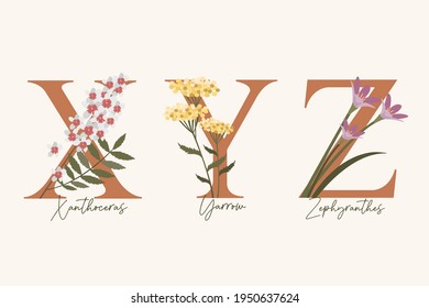 Hand Drawn floral alphabet with spring flowers in pastel colors.Letters X, Y, Z with flowers zephyranthes, yarrow, xanthoceras