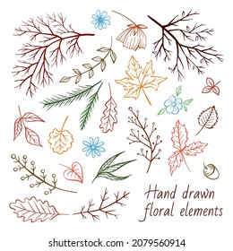Hand drawn floral autumnal elements set. Fall florals collection.