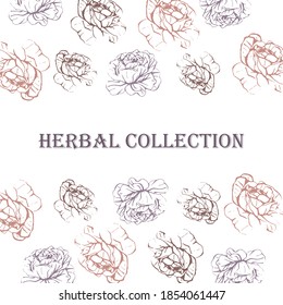 hand drawn floral background Package design