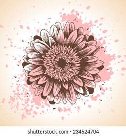 Hand drawn floral background with pink paint splash and gerbera flower. Vector illustration. Vintage backdrop for lovely wedding invitations.