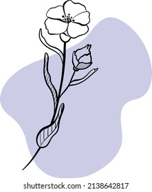 Hand drawn floral, botanical element on colour background shape for design. Instagram story icons