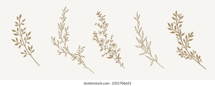 Hand drawn floral botanical lines and silhouettes of branches, leaves and flowers. Trendy minimal elements of wild and garden plants. Vector illustration for logo or tattoo, invitation, save the date