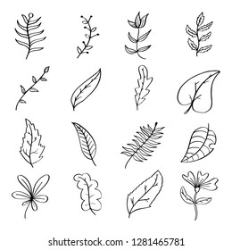 Hand drawn floral botanical plant doodle vector elements. Wild and free. Perfect for invitations, greeting cards, quotes, blogs, Wedding Frames, posters. Isolated - Vector eps