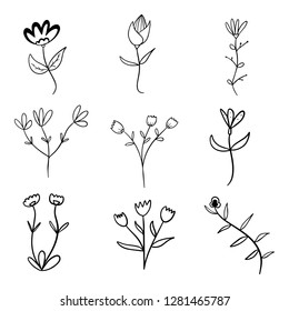 Hand drawn floral botanical plant doodle vector elements. Wild and free. Perfect for invitations, greeting cards, quotes, blogs, Wedding Frames, posters. Isolated - Vector eps