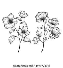 Hand drawn floral botanical wild flowers sketched pen and ink vector illustration.