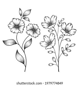 Hand drawn floral botanical wild flowers sketched pen and ink vector illustration.