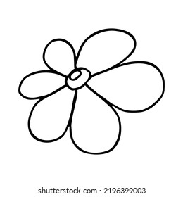 Hand drawn floral, branch and herbal elements. Black doodle vector illustration on white background for your design, greeting card and logo.