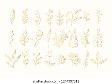 Hand drawn floral branches, golden leaves and flowers set. Gold botanic borders. Vector isolated elements. Wedding dividers for invitation card.