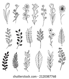 Hand drawn floral branches pack.
