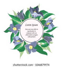 hand drawn floral card with clematis, virgin's bower