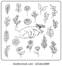 hand drawn floral collection. vector illustration