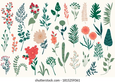 Hand drawn floral decorations for Christmas designs. Botanical plants vector illustration. Colorful leaves, flowers, herbs and branches sketches. Perfect for Xmas and New Year celebration typography.