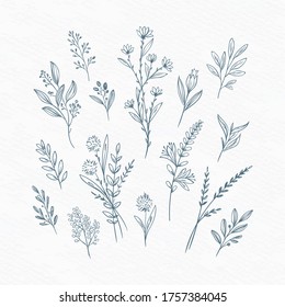 Hand drawn floral decorative elements