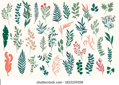 Hand drawn floral decorative elements set. Isolated pack of botanical objects. Colorful plants, flowers and herbs vector illustration. Perfect for Christmas and New Year greeting cards design.