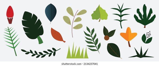 Hand drawn floral decorative elements, leaves, flowers, herbs and branches botanical doodles set Premium Vector