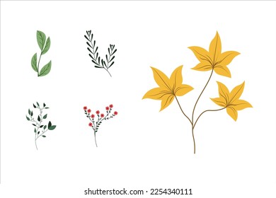Hand Drawn Floral Decorative Elements