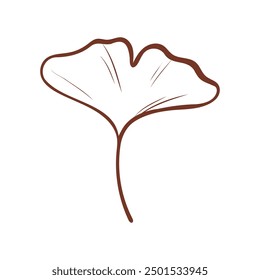Hand drawn floral decorative elements on white