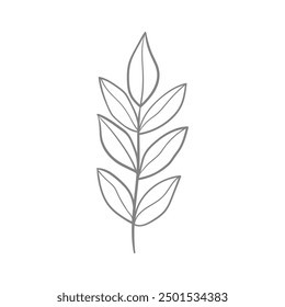 Hand drawn floral decorative elements on white