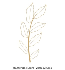 Hand drawn floral decorative elements on white