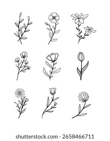 Elementos decorativos florales dibujados a mano